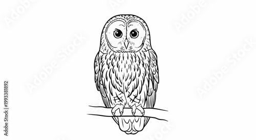 A detailed black and white sketch of an owl perched on a branch