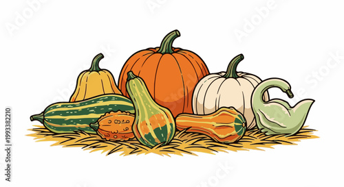 Assorted gourds and pumpkins are artfully arranged on a bed of straw
