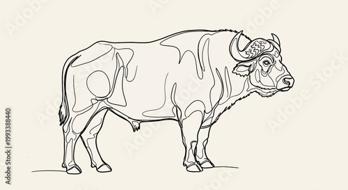 Large bull standing in profile view.