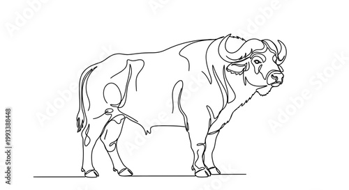 Large Bull Standing Sideways Facing Right.