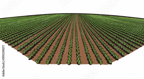 Rows of green sprouts grow in rich brown soil under a green expanse