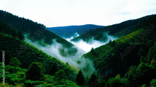 a distant valley with subtle fog movement
