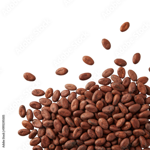 Raw organic cocoa beans scattered on a stark white background with cracked interiors and mahogany textures showcasing an artisanal ingredient origin atmosphere