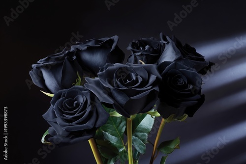 Black Roses Arranged on a Dark Surface With Soft Light Shining on Them