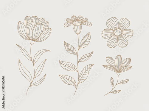 icon set for education, school and study equipment