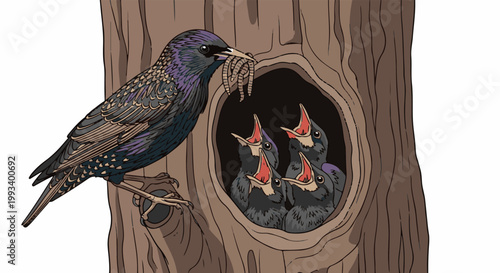 Parent bird feeding worms to hungry chicks in a tree hollow