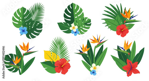 Vibrant Tropical Flowers and Leaves Collection.