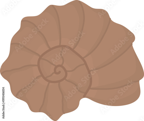 Hand drawn brown seashell isolated on white background. Illustration of marine conch
