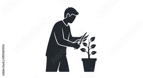 Man pruning a potted plant with scissors.