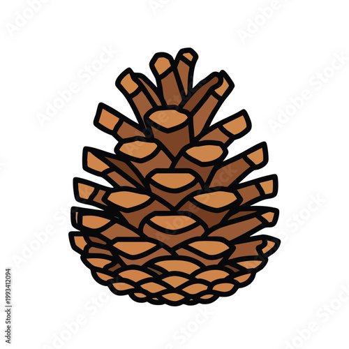 Single pine cone illustration with detailed scales and natural brown tones.