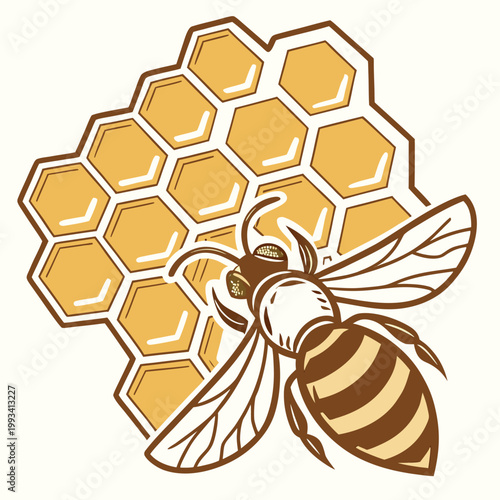 bee and honeycomb