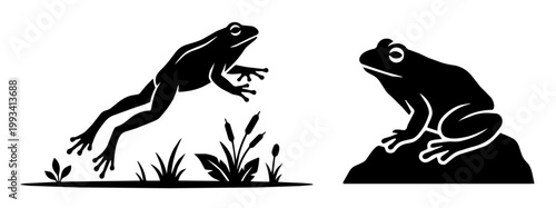 Frog leaping above marsh plants at a pond edge. Another frog crouches on a rock in a calm midday pose.