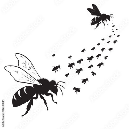 A comprehensive collection of vector illustrations featuring a black silhouette set of diverse insects like the ant, beetle, bee, and butterfly for nature-themed graphic design and pest icons