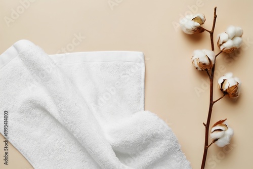 Cotton Towel Placed Next to Cotton Branch on Simple Background