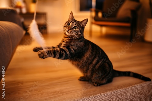 Cat Plays With Feather Toy in a Cozy Living Room During Evening Hours