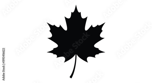 A striking black silhouette of a maple leaf against a white background silhouette
