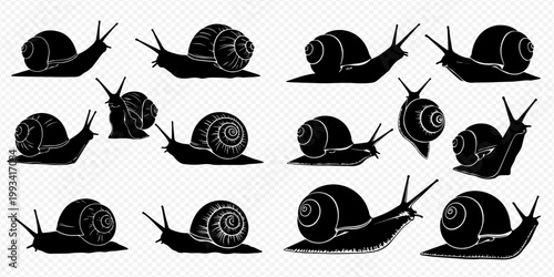 Set of various snail silhouettes with shells and tentacles in different poses, isolated on a transparent background.