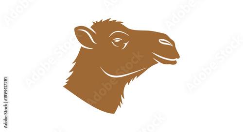 Camel Head Illustration Brown Animal Portrait.
