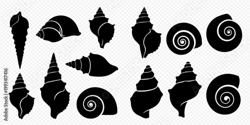 Collection of various black silhouette seashells and conch shells on a transparent background.