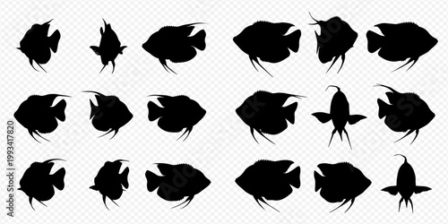 Collection of fish silhouettes, vector illustration of aquatic animals in various poses, isolated on a transparent background.