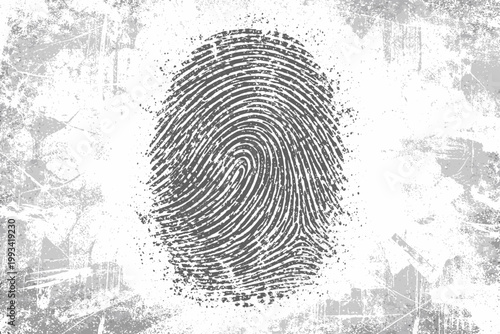 Abstract Vector Illustration of a Textured Gray Fingerprint Pattern on a Distressed Grunge White Background, Symbolizing Identity, Security, Forensic Science, and Biometric Authentication Technology