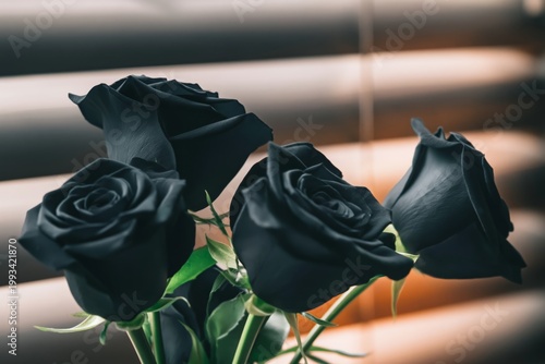 Black Roses Arranged in a Vase Near a Window With Blinds During the Day