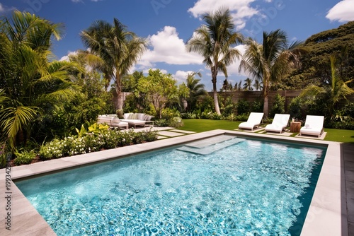 Sunny Day by the Pool With Palm Trees and Green Plants in a Backyard Setting