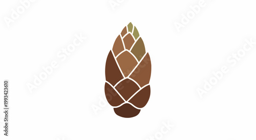 Stylized, brown, and green cone illustration with white outlines