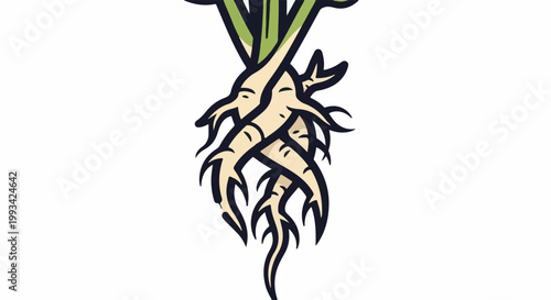 Stylized illustration of intertwined root vegetables with green leaves