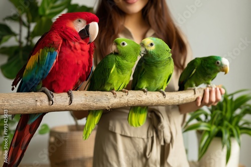 Colorful Parrots on a Branch in a Room With Plants During a Sunny Day
