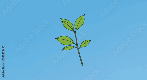 Simple illustration of a green leafy branch against a light blue background