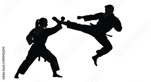 Two martial artists practicing a dynamic kick in combat silhouette