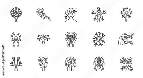 Abstract organic neural structure line icons set, depicting complex biological networks, brain connections, and intricate cellular systems for scientific graphics