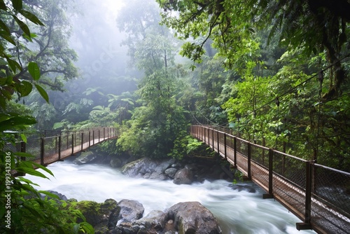 Forest Bridge Crosses River in Dense Fog at Morning Time