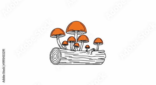 A cluster of bright orange mushrooms sprout from a decaying log