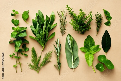 Fresh Herbs Gathered on a Light Surface With Various Shapes and Textures Disp...