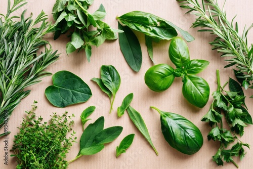 Fresh Herbs Gathered on a Light Surface With Various Shapes and Textures Disp...