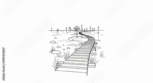 Winding wooden boardwalk through a marshy landscape with reeds