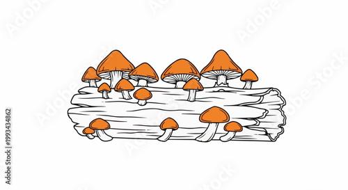 A stylized illustration of several orange mushrooms growing on a fallen log