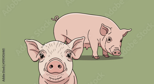 Two cheerful pink pigs stand on a green background, one in the foreground