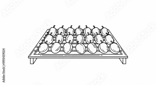 Fresh plums neatly arranged on a drying rack