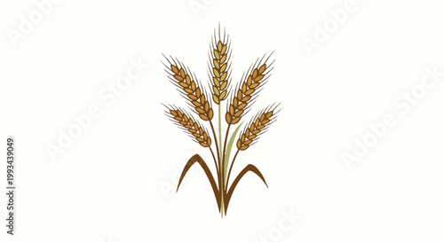 Golden wheat stalks with green leaves and brown roots on a white background