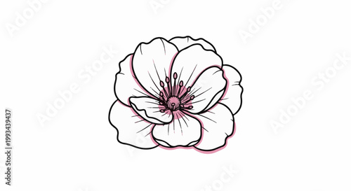 Delicate sketch of a blooming flower with thin black lines and soft pink accents