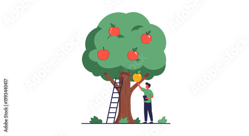 Person Picking Apples from Fruit Tree in Orchard