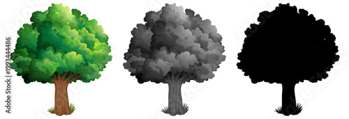 Evolution of tree illustration from full color to grayscale and black silhouette version.