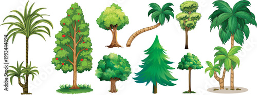 Diverse collection of tropical palms evergreen pines and deciduous trees for nature projects.