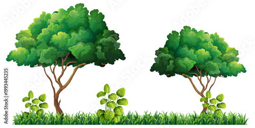 Green leafy trees and lush grass border set against clean white background for scenery composition.