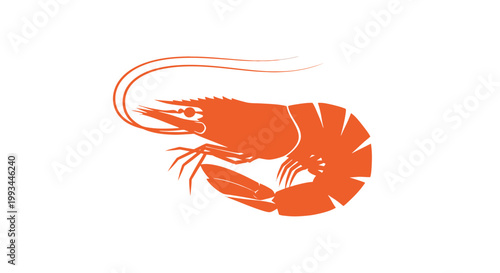 Isolated Orange Prawn on White Background.