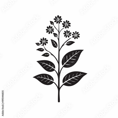 Black and White Silhouette of a Flowering Plant