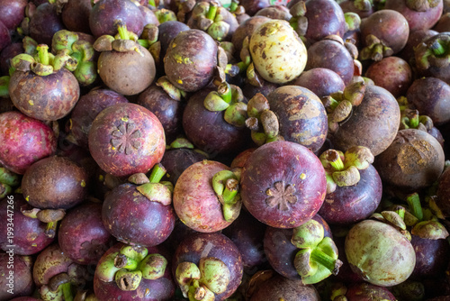 Fresh ripe purple mangosteens, Manggis (Garcinia mangostana L.) for natural background